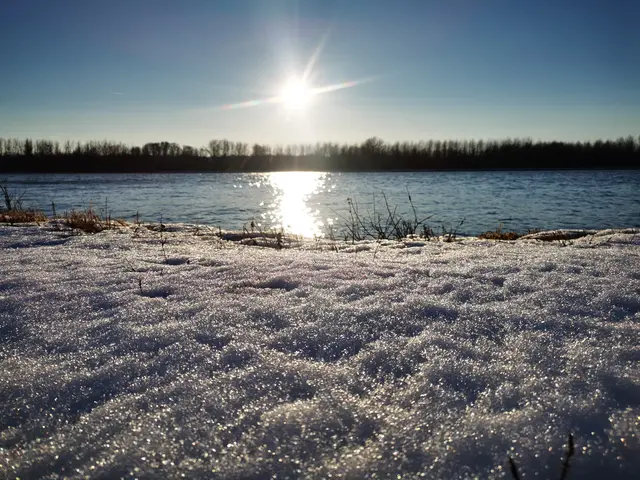 In Au an der Donau | Foto: Ulrike Plank