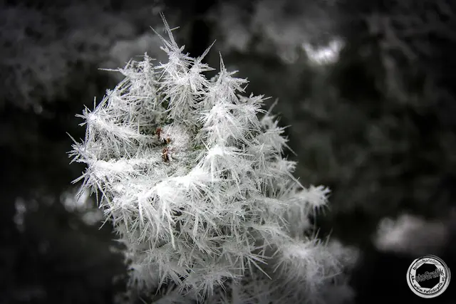 Seit Weihnachten hat uns der frostige Winter im Griff. Schlecht für die Heizkosten, aber schön zum Fotografieren. | Foto: FotoGrafik bruno haneder