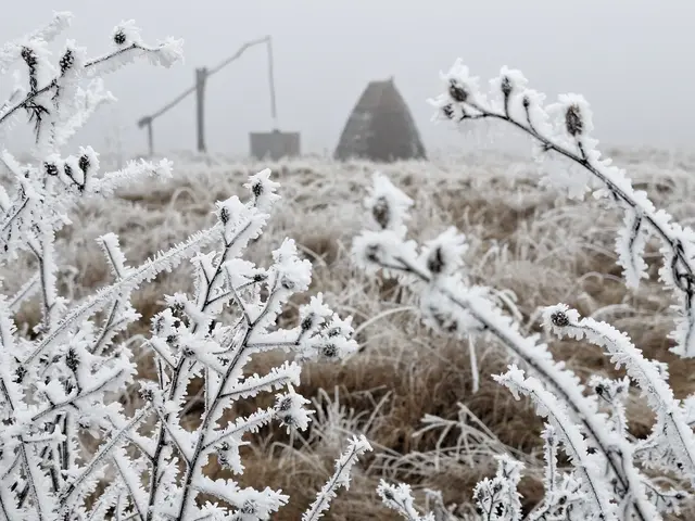 27.1.2026
Darscho
@renatahfotografie