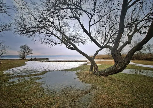 Illmitz am See
@renatahfotografie