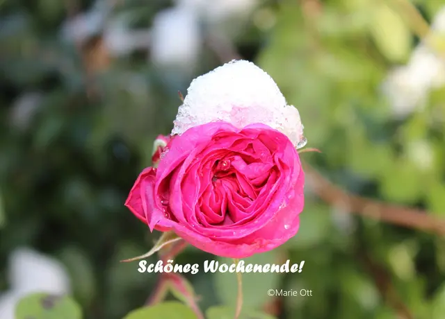 Schönes Wochenende!