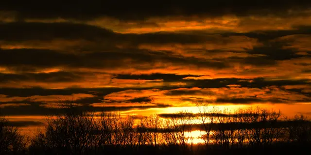 Jänner ade. Sonnenschein gab es heuer im Jänner kaum bei uns. Nebel und Frost beherrschten fast den ganzen ersten Monat. 