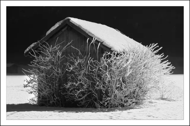 Wünsche euch einen guten Start in die neue Woche. | Foto: © by Ing. Günter Kramarcsik