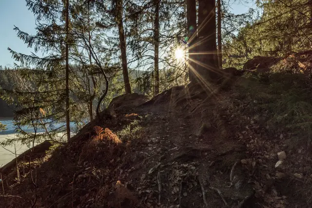 Spaziergang ins Licht.