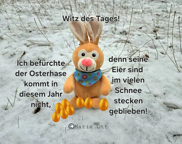 Witz des Tages, der Osterhase
