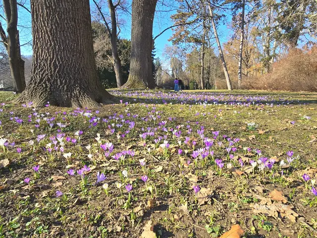 Es wird Frühling im Grazer Stadtpark