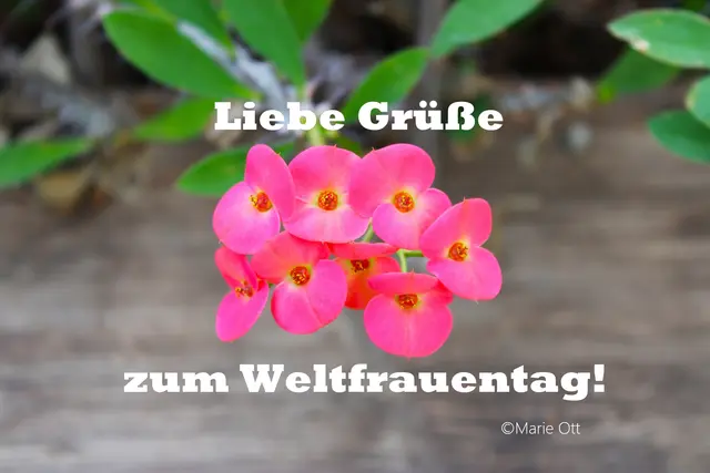 Liebe Grüße zum Weltfrauentag!