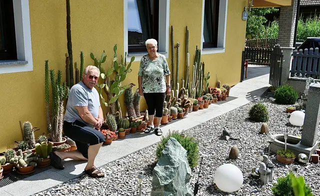 Emil und Gertie vor der Kakteen-Sammlung. Altersbedingt wollen sie diese Kakteen abgeben.
Kontakt: lebens.wertes.wels@gmx.net 