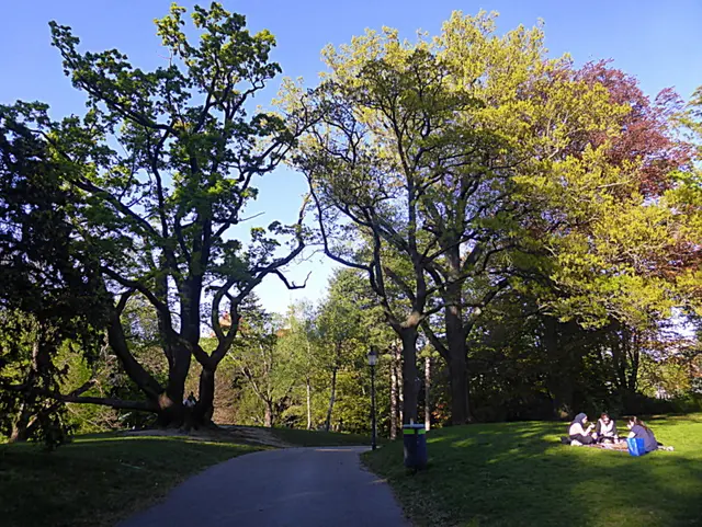 Für viele Wiener ist der "Türkenschanzpark"  das schönste Fleckchen Grün der Stadt.  Zwischen den verschlungenen Wegen, den kühlen Waldstücken und den hübschen Teichen finden sich zahlreiche romantische Plätze, an denen sonnige Nachmittage und laue Sommerabende genossen werden können📸