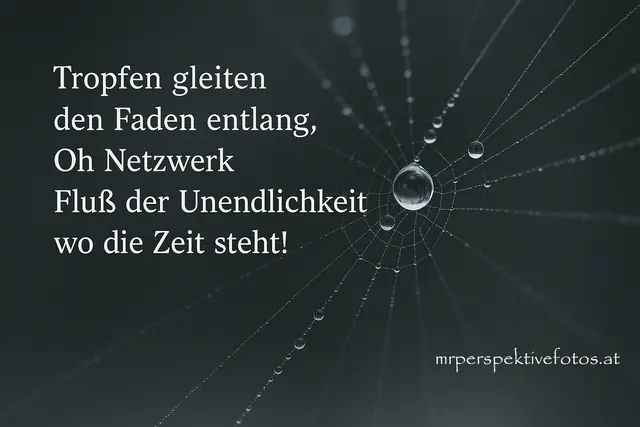 Wasser Netzwerk
