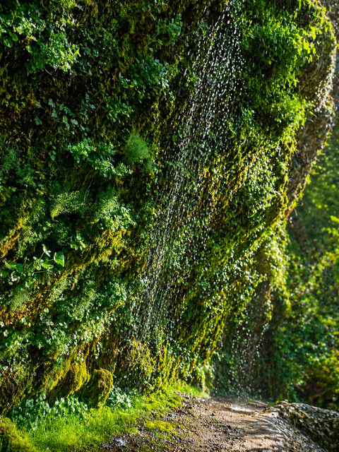 Rinnende Mauer Molln  | Foto: Felix© Apotheke Molln