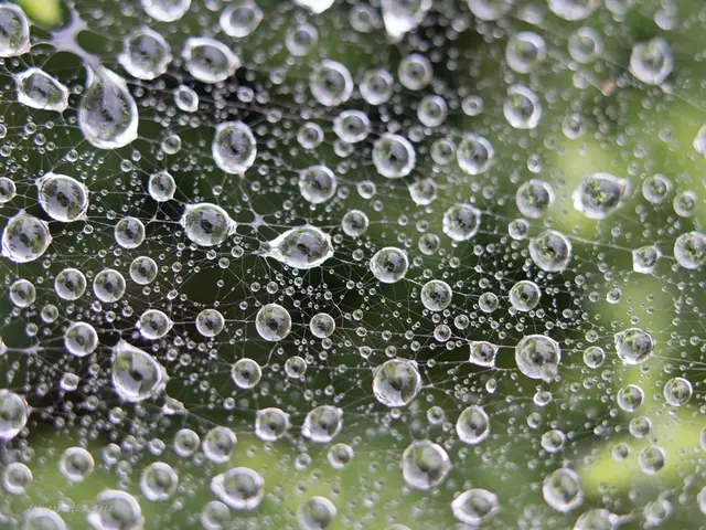 Wassernetzwerk