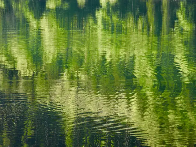 Es ist der Leopoldsteinersee