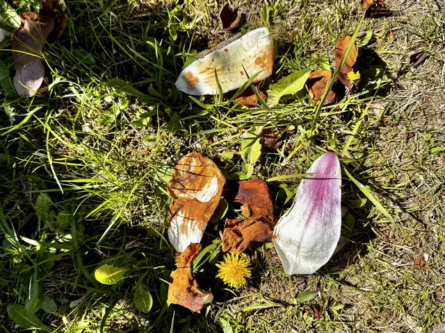 KÜNSTLERIN: MUTTER NATUR