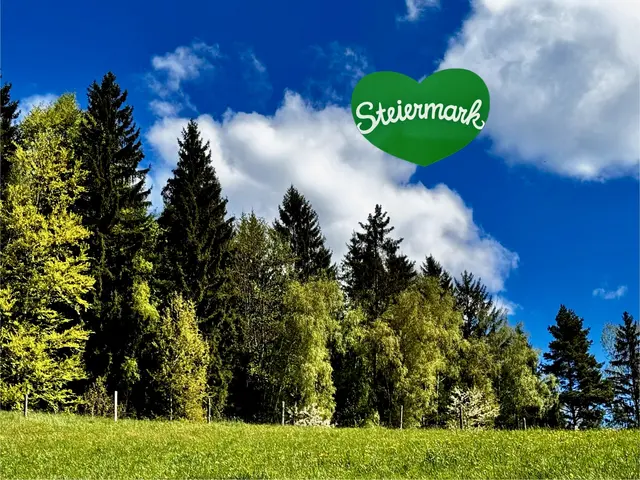 STEIAMOARK MEI HOAMATLOUND

Du bist fir mi wir’a Muata
Gounz tiaf dreji in mein Herzn
Woans di neama gawat, 
deijs kinn‘t i nit vaschmerzn!