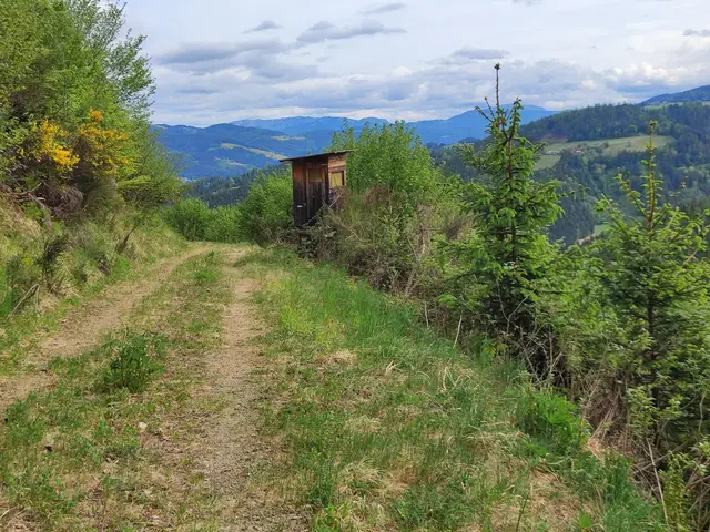Der Blick gleitet über das mittlere Mürztal bis zur Hohen Veitsch...