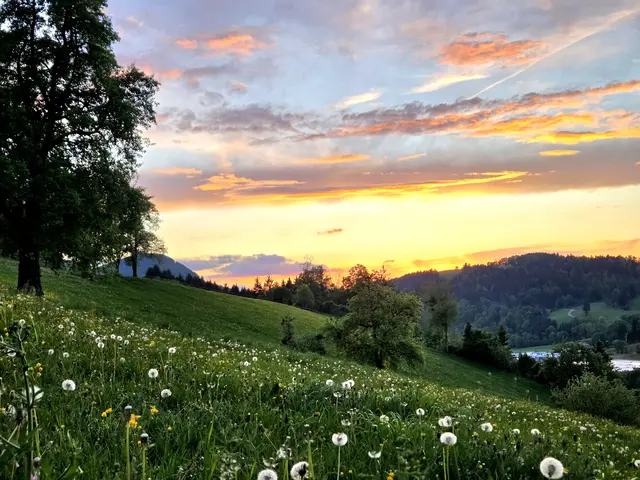 Faszinierende Abendstimmung, Blickrichtung Waidhofen/Ybbs von Ybbsitz aus kommend | Foto: Martina Fölser