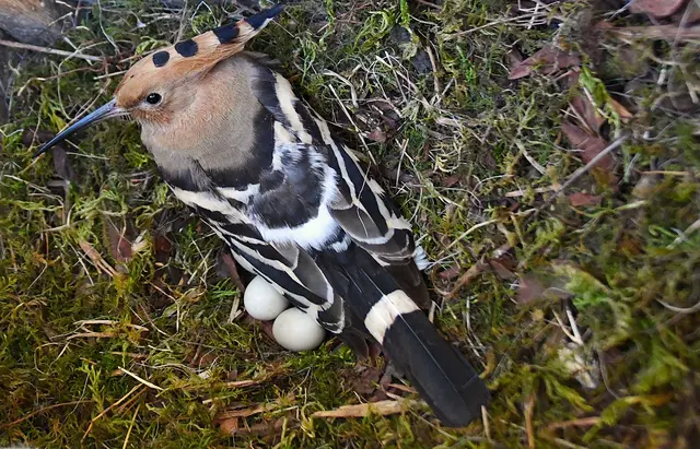 ...bald bin ich Mama!
