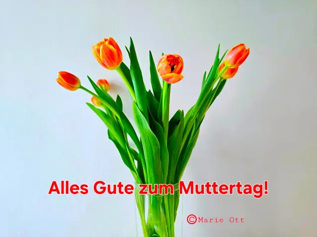 Alles Gute zum Muttertag!