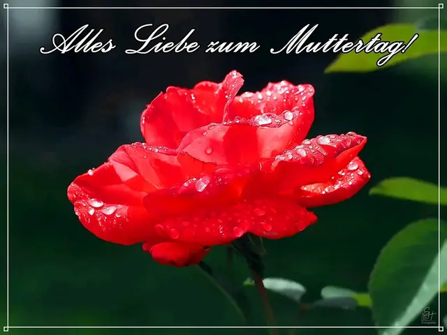 Ich wünsche allen Müttern einen schönen Muttertag. Allen Frauen die gerade Mutter werden. Allen Frauen die Mütter waren aber uns leider schon vorausgegangen sind. Und allen die Kinder eine Mutter sind, auch wenn sie sie nicht selbst zur Welt gebracht hat. Und zu Guter Letzt nicht zu vergessen, jene die für anderen wie eine Mutter sind. Jede kann Mutter sein - es ist schön! 