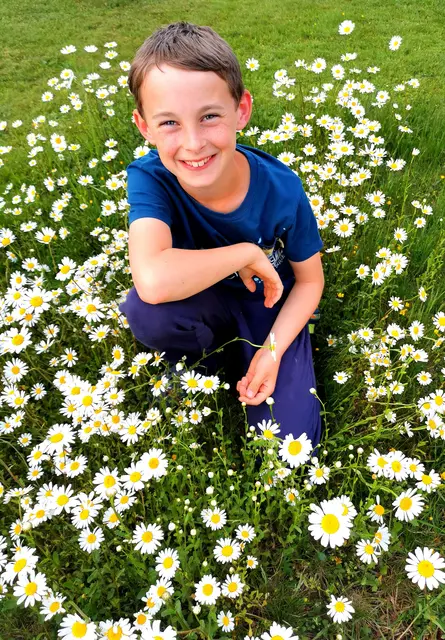 Ein Blumenmeer gibt es in Stocking und Paul genießt es! 