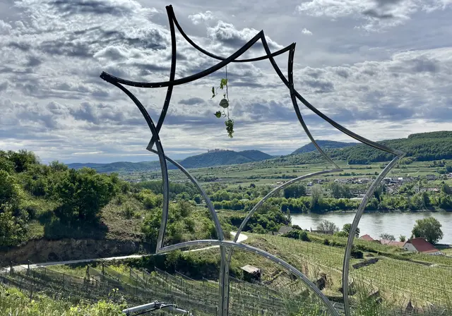 "Weinstern" am Loibenbergweg (Fritz Gall)