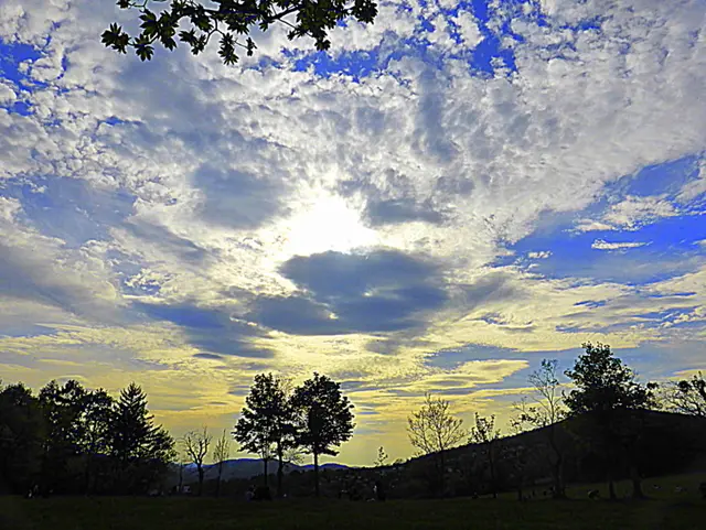 Das Abendlicht in der Natur bietet eine einmalige Atmosphäre, die durch sanfte Farben, warme Lichttöne und lange Schatten geprägt ist. Es beruhigt nicht nur den Menschen, sondern spielt auch eine essenzielle Rolle für den natürlichen Tag-Nacht-Rhythmus von Tieren und Pflanzen. 