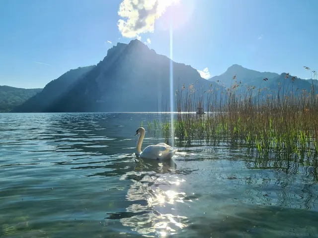 Der Tag erwacht...