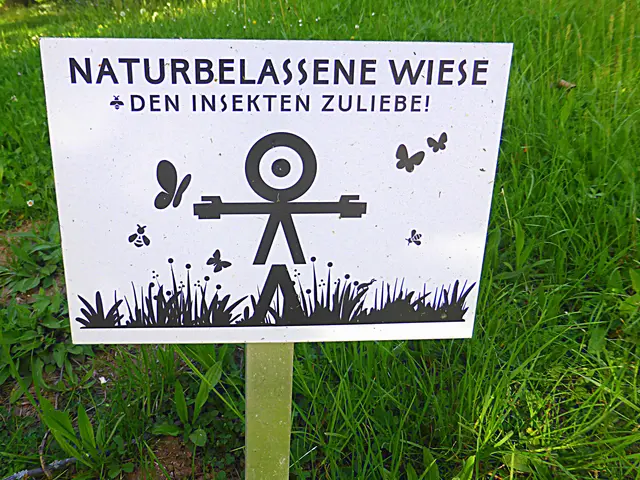 Eine naturbelassene Wiese ist ein ökologisches Kleinod und Hotspot der Artenvielfalt.
Sie bietet Lebensraum für unzählige Insekten, Vögel sowie Kleinsäuger und dient als grüne Oase der Erholung📸