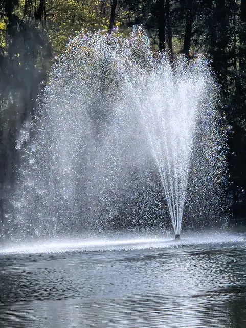 Springbrunnen am Grafenteich/ Naherholungszentrum bei Voitsberg.