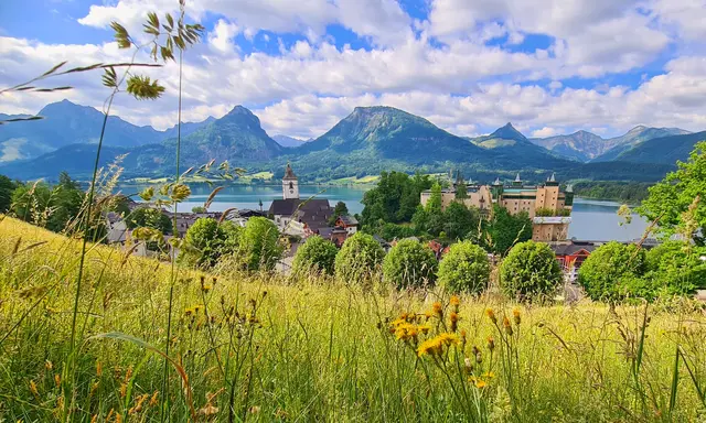 Vom Kalvarienberg 