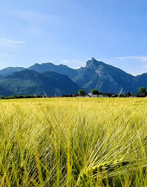 Auflösung....Im Hintergrund die schlafende Griechin 