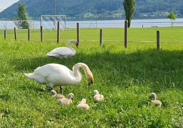 Landausflug...