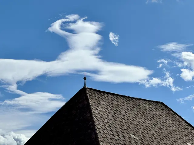 WALMDACH MIT „WOLKENFEE“