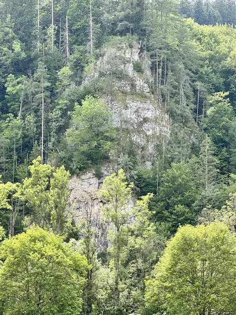 DER KAISERSTEIN ZWISCHEN DER LAMBACHSIEDLUNG UND DEM EICHHORNTAL HAT SEINEN NAMEN, WEIL KAISER FRANZ JOSEF I. VON HIER AUS DIE AUSSICHT ÜBER MZ SEHR GENOSSEN HABEN SOLL.

