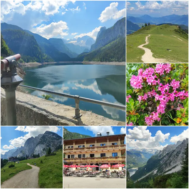 Der Dachstein zum Greifen nah, der Almrausch blüht, Herz was willst du mehr... 