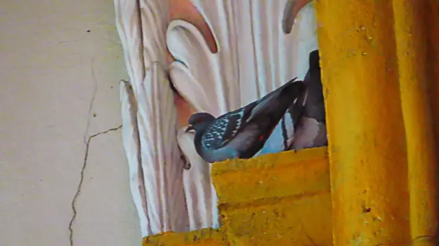 2 Tauben sind vor der Hitze in die Stadtpfarrkirche Villach geflüchtet und haben ruhig die Sonntagsmesse verfolgt. 
