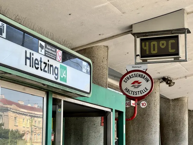 NOMEN EST OMEN!