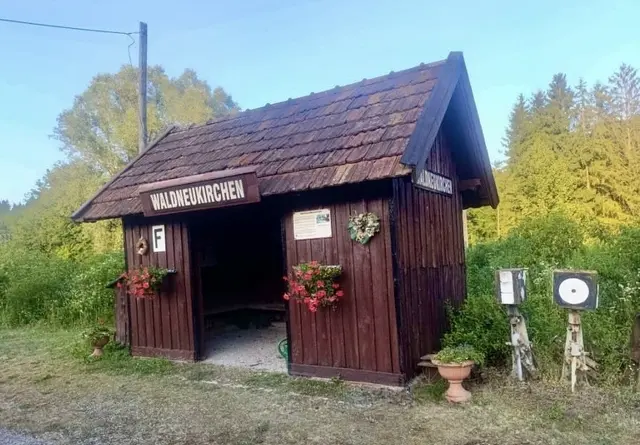 Dampf-Museumsbahn: Fahrzeit Steyr – Grünburg oder umgekehrt: ca. eine Stunde.
Die Züge halten bei Bedarf in allen Haltestellen, wo auch die örtlichen Abfahrtszeiten veröffentlicht sind. Die Fahrkarten erhalten Sie in Steyr und Grünburg am Schalter, sonst beim Schaffner im Zug.
Bei Sonderfahrten darf jeder in Waldneukirchen aussteigen.
Bei den Planzügen werden im Steyrtal ausschließlich Dampfloks eingesetzt.