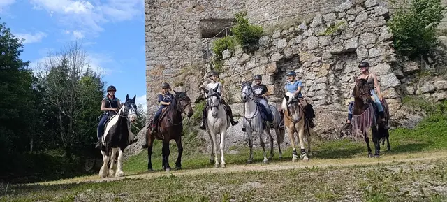 Ritt zur Ruine- die Pferde ziehen wieder auf der Burg Ruttenstein ein. | Foto: Erlebnishof Steinkellnergut