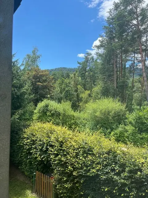 Es grünt so grün - wenn ich aus meinem Fenster schau; aber ohne Regen wird die Natur nicht lange mehr in Grün so grünen!
