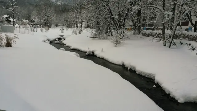 Eine tief verschneite, ebene Winterlandschaft, ein Bach und ein Auwald.