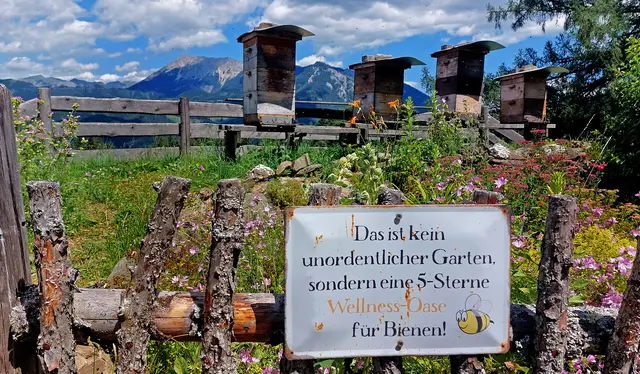 Wellness Oase für Bienen -- gesehen am Wilder Berg Mautern ( Stmk. )