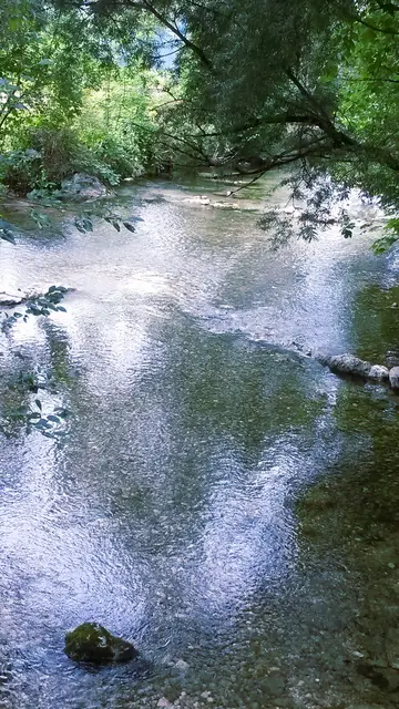 Ein breiter, seichter Fluss im Wald. Der Himmel spiegelt sich darin.