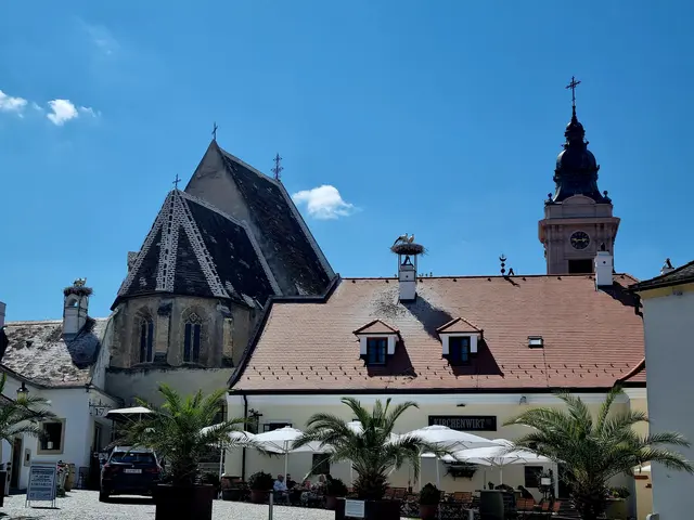 Der Hauptplatz, ein Teil. Wer findet die Storch? | Foto: Manuela Jeindl