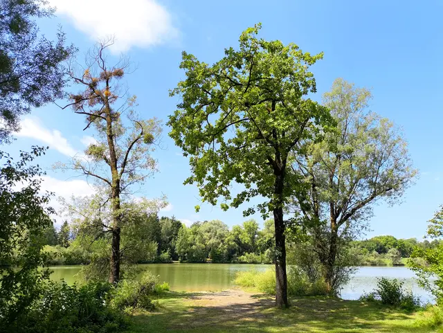 Gestern habe ich mir an meinem freien Tag eine kleine Auszeit gegönnt und habe eine Nordic Walking Runde an den Salzachsee gemacht. Einfach mal Abschalten 🌿☀️🌳.  | Foto: Martina Laserer