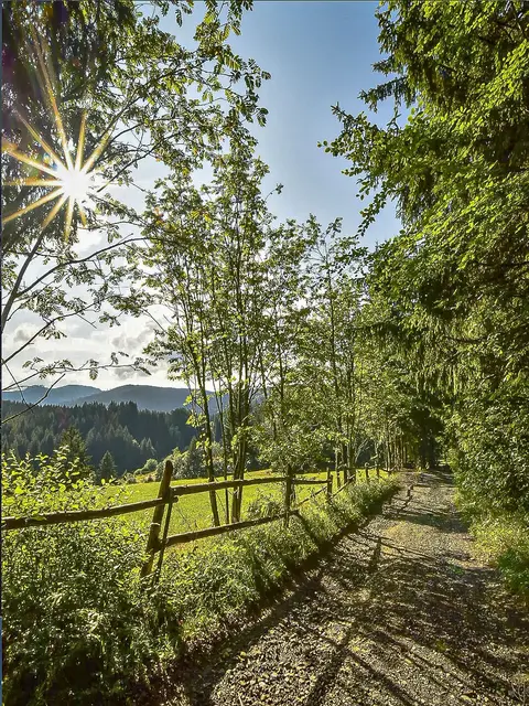 Wenn eine Blume nicht blüht,
so ändert man ihre Umgebung,
aber nicht die Blume.
Foto: Glaser 