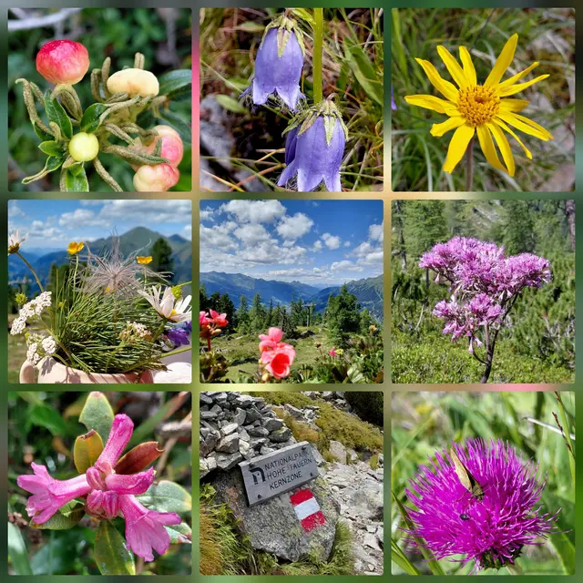 ... wandern ist Erholung mit alle Sinnen!!!
KLICK HIER UND DU KOMMST ZU MEINEM BEITRAG | Foto: H.Bachinger