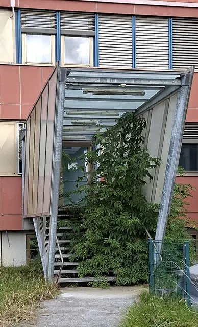 Foto: Kurt Nöhmer 