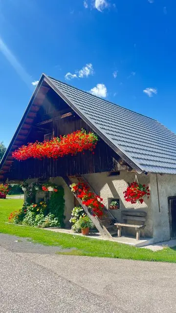 Zitat des heutigen Tages:
"So golden die Sonne im Juli strahlt, so golden sich er Roggen mahlt!"